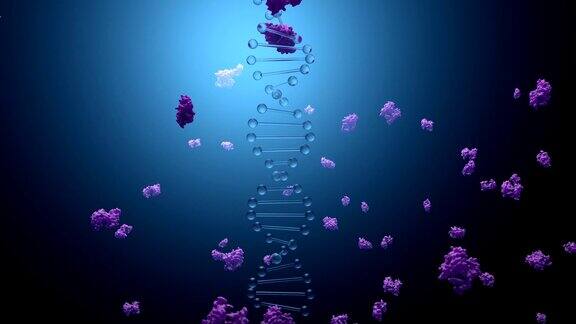 蛋白质的DNA编码