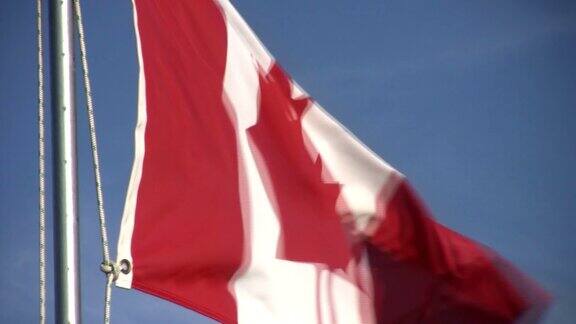 高清:加拿大国旗特写