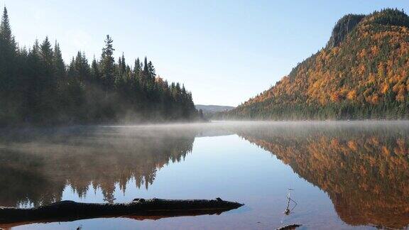 4K自然秋季景观魁北克加拿大