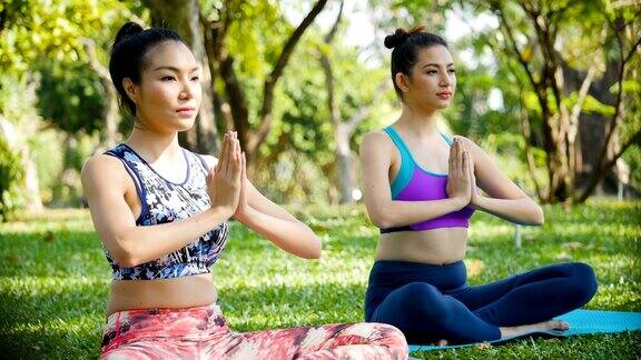 两个年轻女人在早上的公园里做瑜伽