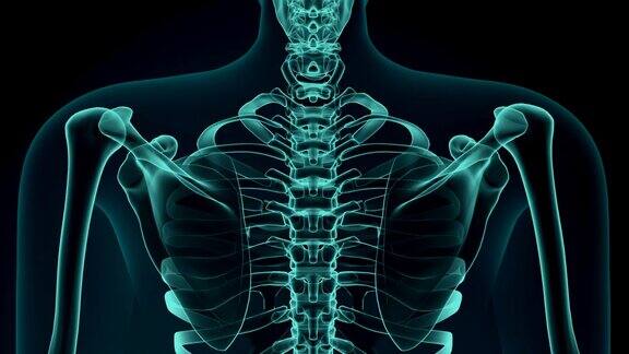 3d渲染插图的痛苦的肋骨医学概念动画