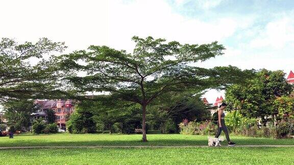 侧视图亚洲华人女性和她的狗在公园清晨散步