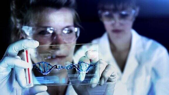 科学家们对DNA的结构进行分类