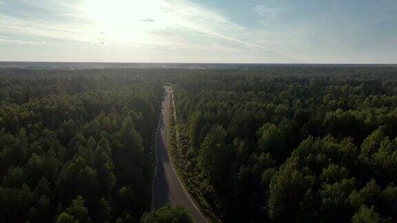 日落时森林里的路航拍视频