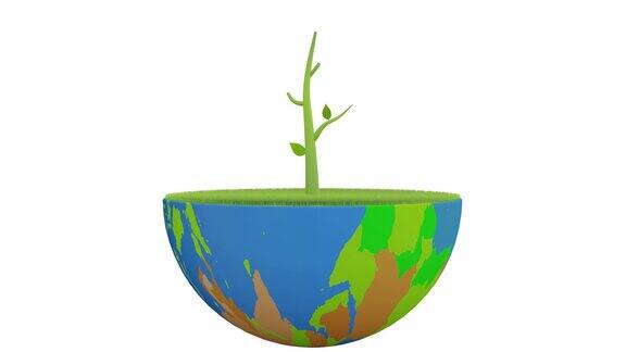 植物生长绿色地球3d动画
