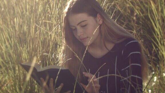 读书的年轻女孩坐在草地上放松在户外的太阳