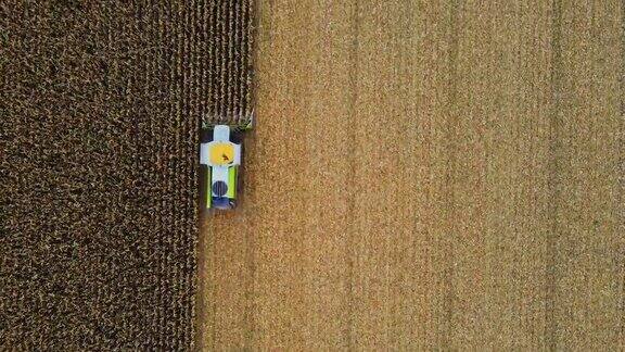 空中联合收割机正在收割玉米田
