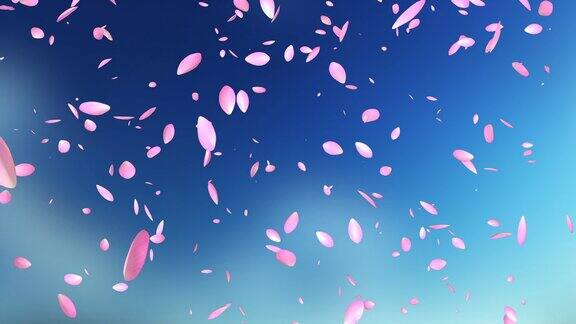 粉红花瓣飞舞映衬着朦胧的天空
