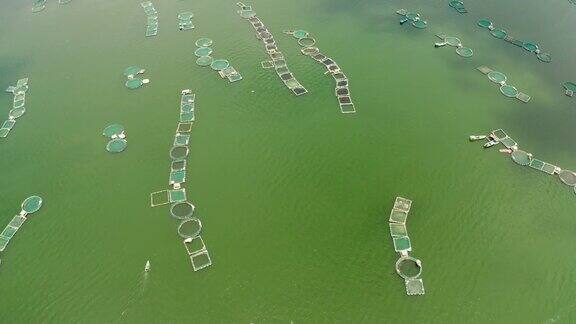 菲律宾塔尔湖上的渔场