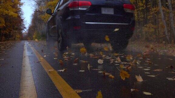 一辆黑色的汽车行驶在潮湿的森林道路上旋转着落叶