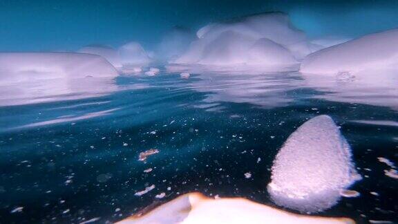 在南极洲潜水