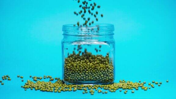 蓝色背景下绿豆落进玻璃罐中的特写镜头在摄影棚拍摄绿植种子和种子倒出砂砾的宏观进尺食品烹饪视频