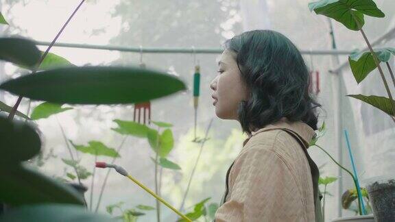 一位年轻的亚洲妇女正在照顾她的可爱的小植物