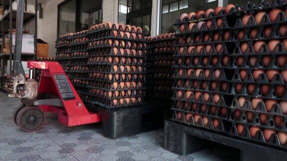 在工厂里手推车被用来运输鸡蛋鸡蛋被堆放在托盘上