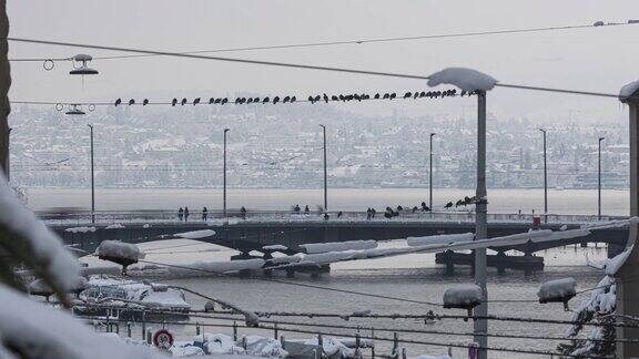 漫长的交通繁忙的大桥在冬天被雪覆盖有轨电车、汽车、自行车和行人以湖泊为背景过河码头桥QuaibrückeLimmat苏黎世湖