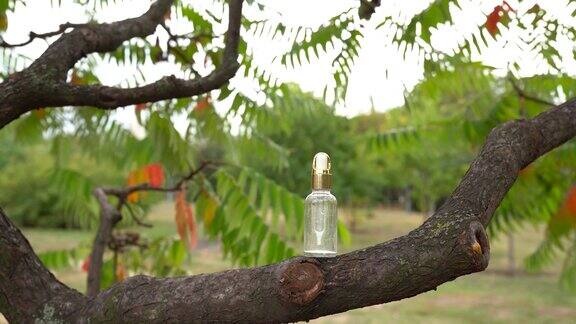 玻璃瓶中的血清停留在木头上香薰油天然化妆品