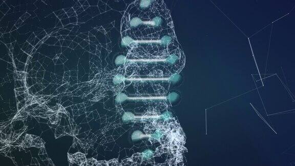 DNA结构在蓝色背景下旋转
