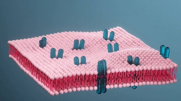 细胞膜与生物学生命与健康3d渲染