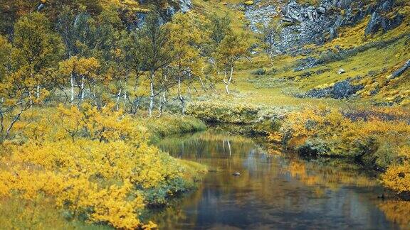 在挪威苔原色彩斑斓的秋季景观中的一条浅河