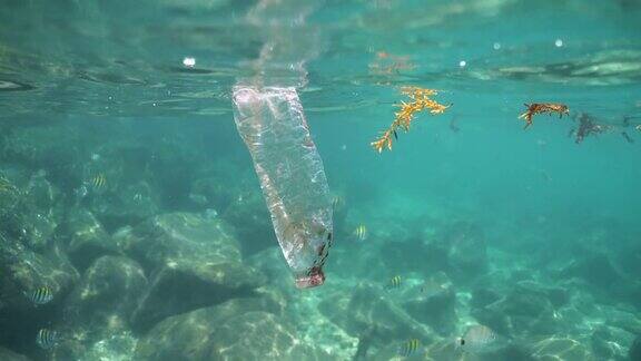 塑料瓶子污染与鱼漂浮在珊瑚礁上