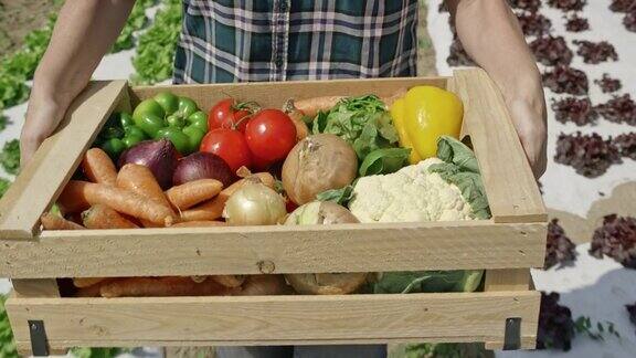 一个女人提着装满蔬菜的木箱穿过田野