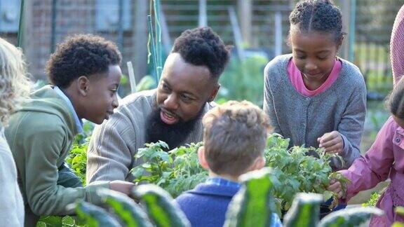 男子在社区花园教孩子们植物
