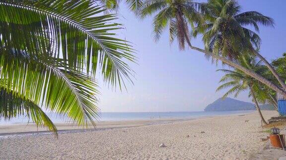 美丽的海景和椰子树春丰省泰国南部
