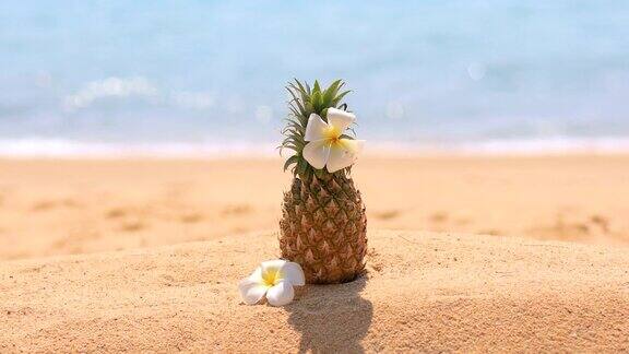 热带海滩上的新鲜菠萝