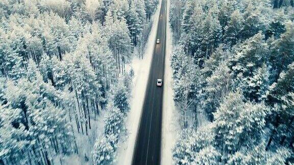 冬天一辆汽车在森林里的双车道路上行驶