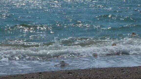 海浪冲击着海湾的鹅卵石