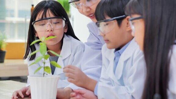 中学生物学实验向孩子们解释生物学如何让孩子在生物课上感兴趣孩子们种植和照顾等待观察组件和生长教育、技术、生物、科学和人的观念教育的主题