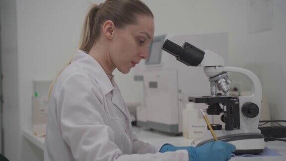 女性医学专业人员在显微镜后的医学实验室中进行样本分析工作女实验室技术员在医院通过显微镜分析样本医学微生物学