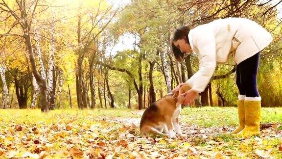 女孩和狗最好的朋友在秋天的公园