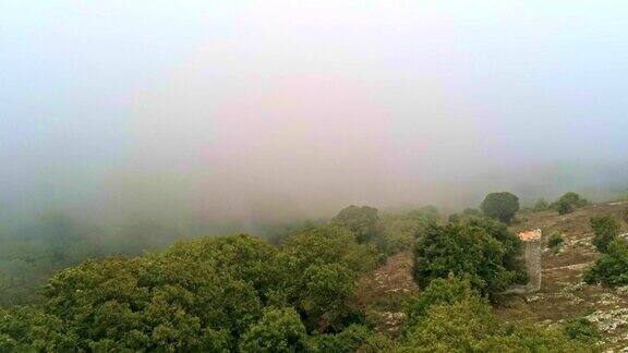 美丽的高角度无人机拍摄的雾霾森林