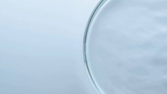 培养皿中水合作用化妆品健康生活方式