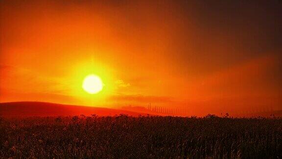 随着时间流逝太阳在托斯卡纳的麦田上空升起