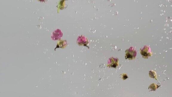 粉红色的玫瑰花慢慢地落入水中水下花瓣