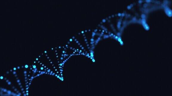 DNA结构中的二进制代码