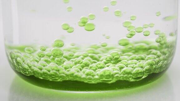 绿色透明气泡下沉到烧杯底部与水