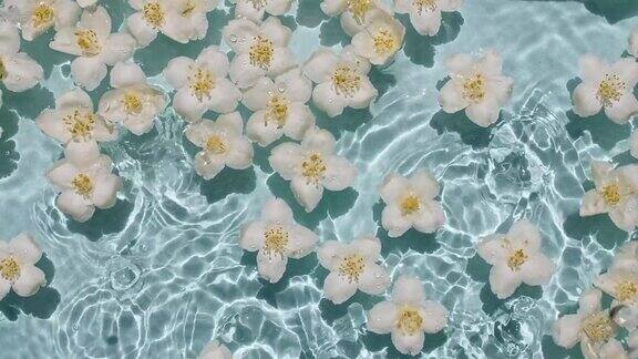 茉莉花的花瓣在水面上有水滴女性化妆品护肤品布局美容产品样品