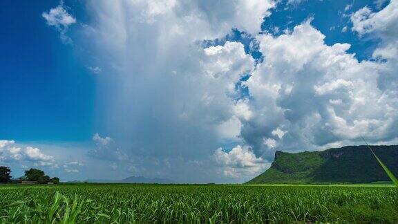 部分乌云和雨与蓝色的天空在绿色农场