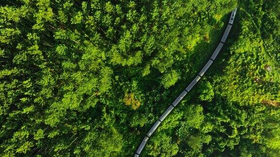 空中无人机在云雾缭绕的森林中拍摄火车