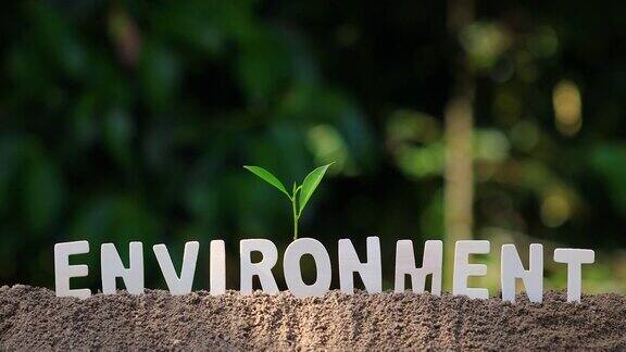 “环境”这个词是木制字母