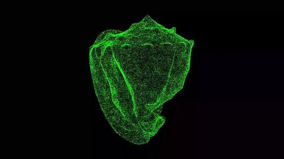 3D海贝壳在黑色背景上旋转海洋海洋装饰商业广告背景用于标题文本演示3d动画60FPS