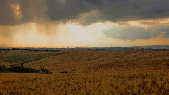 托斯卡纳时间流逝的云在宁静的金色麦田上移动