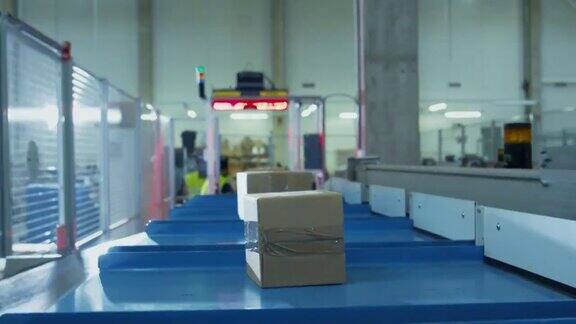 邮递分拣局的包裹正由传送带传送机传送盒子观点延时