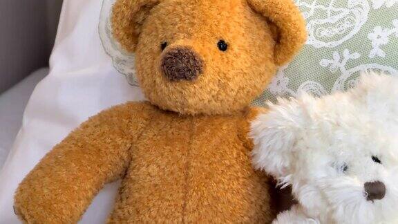 仔细看看床上的两个泰迪熊