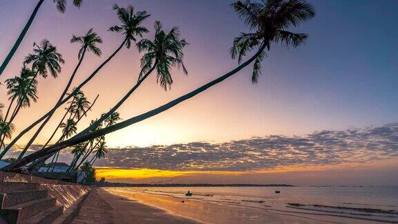 日出海滩椰子树延时