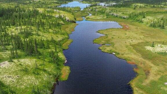 加拿大魁北克夏季的北方森林自然
