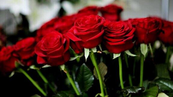 令人惊叹的一束红玫瑰